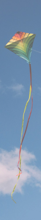 Photo of a kite